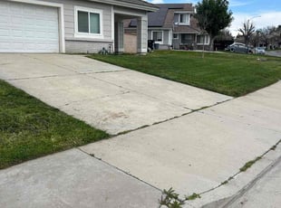 Mary D.'s lawn care services service result