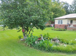 Scott S.'s turf care service result