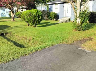 Kelsey C.'s lawn care service result