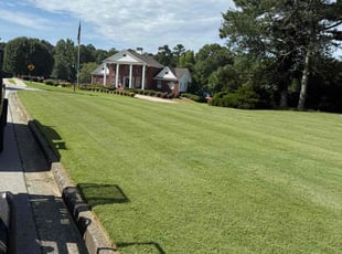 Jerry H.'s turf care service result
