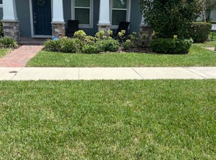 Holly C.'s lawn service service result