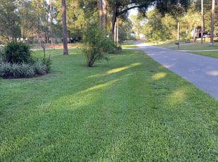 Vicki C.'s lawn care services service result