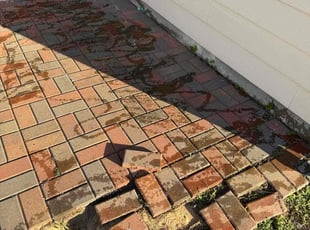 Thomas R.'s Weeding service result