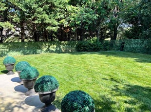 Daniel M.'s lawn service service result