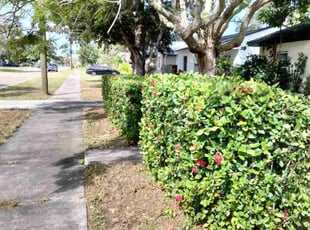Chuck K.'s Bush Trimming service result