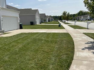 Spencer B.'s turf care service result