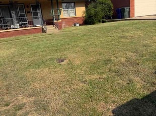 Catherine W.'s lawn care service result