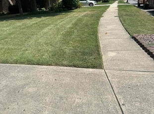 Sharon S.'s grass cutting service result