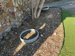 Zach B.'s turf care service result