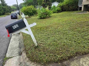 Bessie F.'s turf care service result