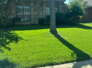 Sean D.'s lawn care service result
