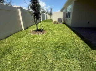 Andrea L.'s lawn maintenance service result