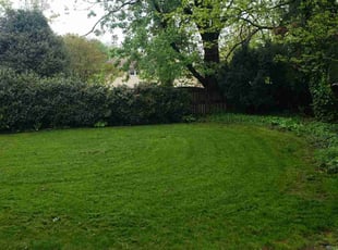 Macy M.'s lawn care services service result
