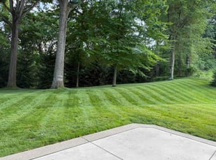 Rich C.'s lawn care service result