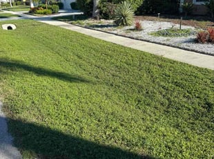 Laura D.'s grass maintenance service result