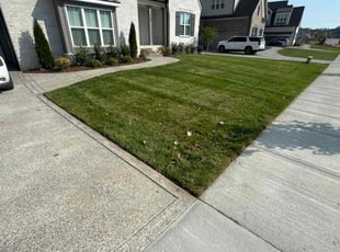 Alex G.'s lawn maintenance service result