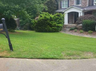 Candy D.'s turf maintenance service result