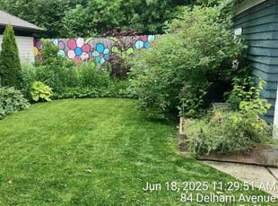 Lacey B.'s lawn maintenance service result