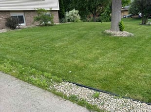 Jennifer G.'s lawn care service result