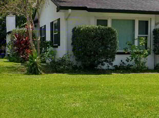 Eli P.'s Tree Care service result