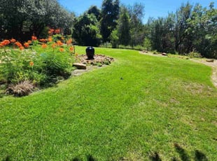 Timothy H.'s grass cutting service result