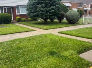 Chandra T.'s lawn maintenance service result