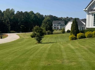 Derrick S.'s turf care service result