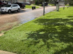 Jamiere E.'s turf maintenance service result