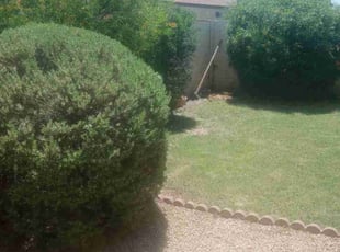 Gregory A.'s Bush Trimming service result