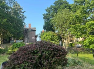 Michelle W.'s Bush Trimming service result