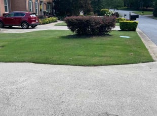 Dan Z.'s turf maintenance service result
