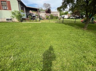 Amy R.'s turf maintenance service result