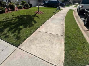 Aaron A.'s grass cutting service result