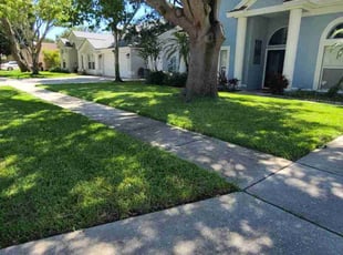 John S.'s lawn care service result