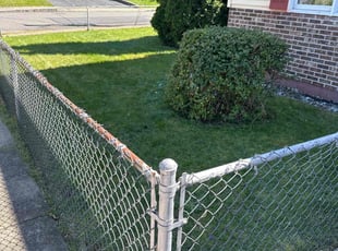 Holly H.'s lawn care services service result