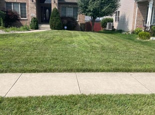Sarah K.'s lawn service service result