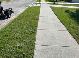 Carolyn M.'s grass maintenance service result