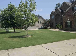 Joseph P.'s lawn care services service result