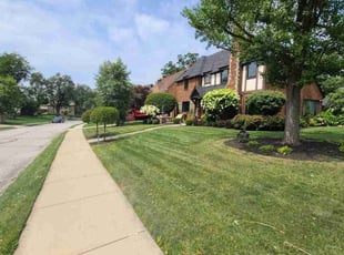 Jill H.'s yard work service result