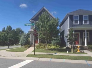 Terri Z.'s turf care service result