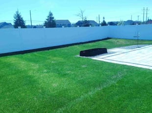 Carissa S.'s grass maintenance service result