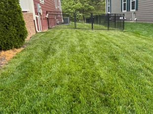 Jim P.'s lawn service service result