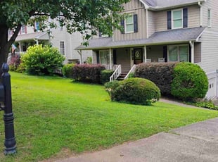 Taylor W.'s lawn care service result