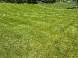James B.'s turf maintenance service result
