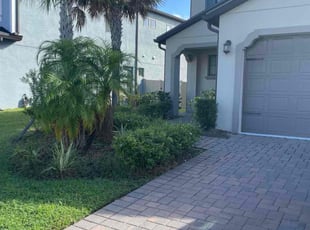 David M.'s Bush Trimming service result