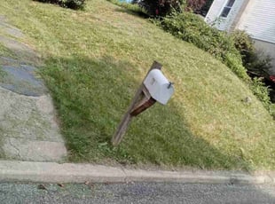 Craig T.'s grass cutting service result