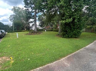 Diann C.'s lawn care services service result