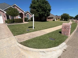 Latydra C.'s lawn care services service result