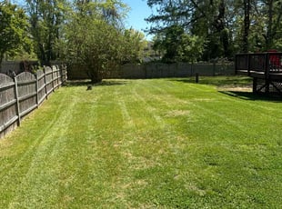 Jim T.'s turf maintenance service result
