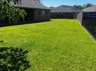 Jerry M.'s lawn maintenance service result